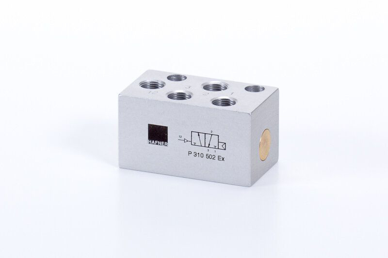 P 310 502 EX